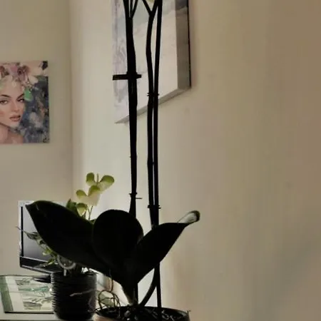 Cristina Centralissimo Citra , 008055-lt-1538 Apartment Sanremo