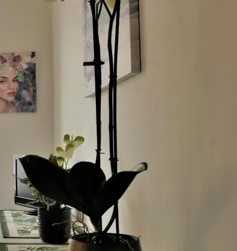 Cristina Centralissimo Citra , 008055-lt-1538 דירה סנרמו